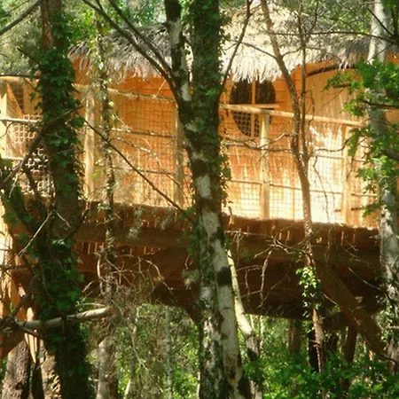 Roulotte Cabane D'embranchard Bed & Breakfast Longue-Jumelles
